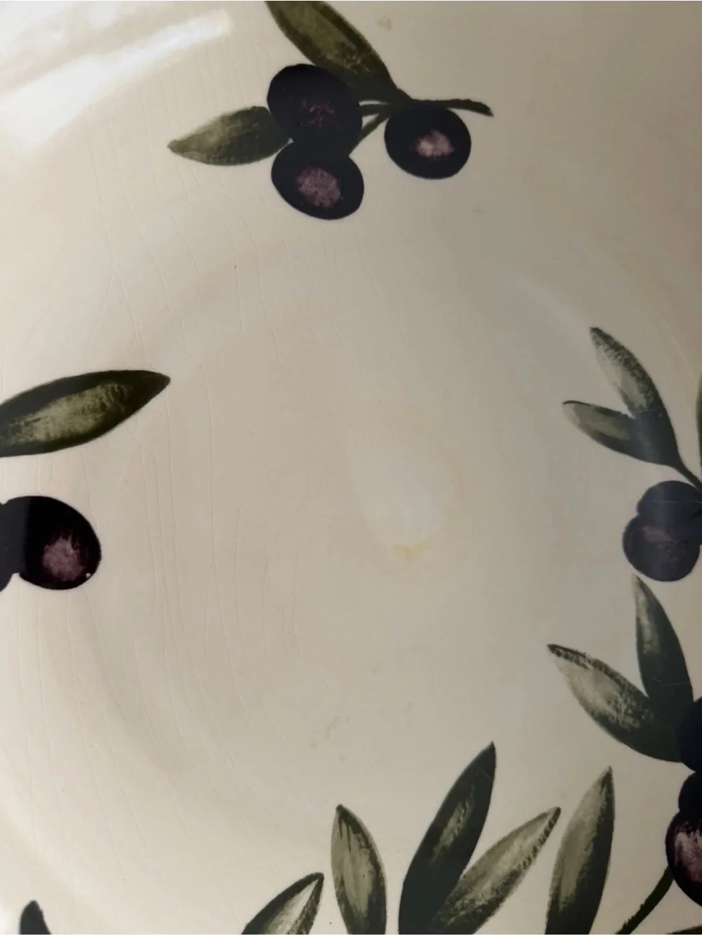 Williams Sonoma Liguria Black Olive 13